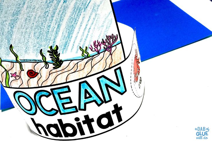 Prek ocean habitat hat 