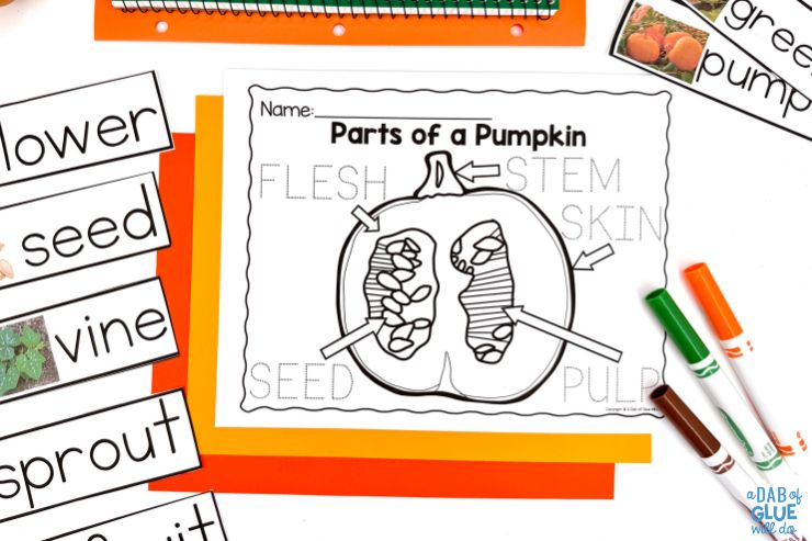 Elevate your autumn teaching with the Pre-K Pumpkins Science Unit. Designed for young learners excited for knowledge. 