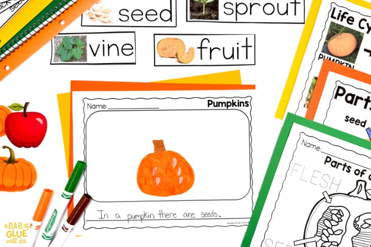 Uncover the wonders of pumpkins with our Pre-K science unit. Perfect for hands-on learning and curious young students.