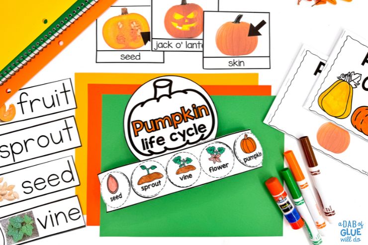 Introducing our Pre-K Pumpkins Science Unit, where learning meets seasonal fun. Explore, discover, and grow with us this autumn.