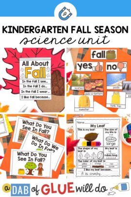 Dive into autumn with our Kindergarten Fall Science. Engage students with activities that explore the science of the changing seasons.