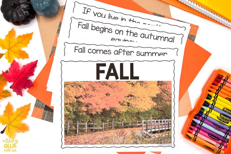 The Kindergarten Fall Season Science Unit is your key to exploring autumn's wonders in the classroom. With a blend of interactive and educational activities, your students will explore the fascinating world of fall while learning key scientific concepts.