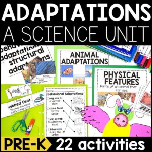 Animal Adaptations Science Unit for Pre-K