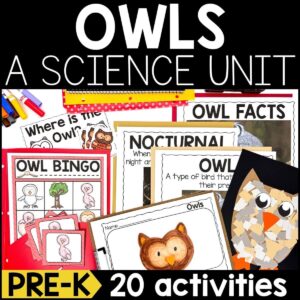 Owls Science Unit for Pre-K