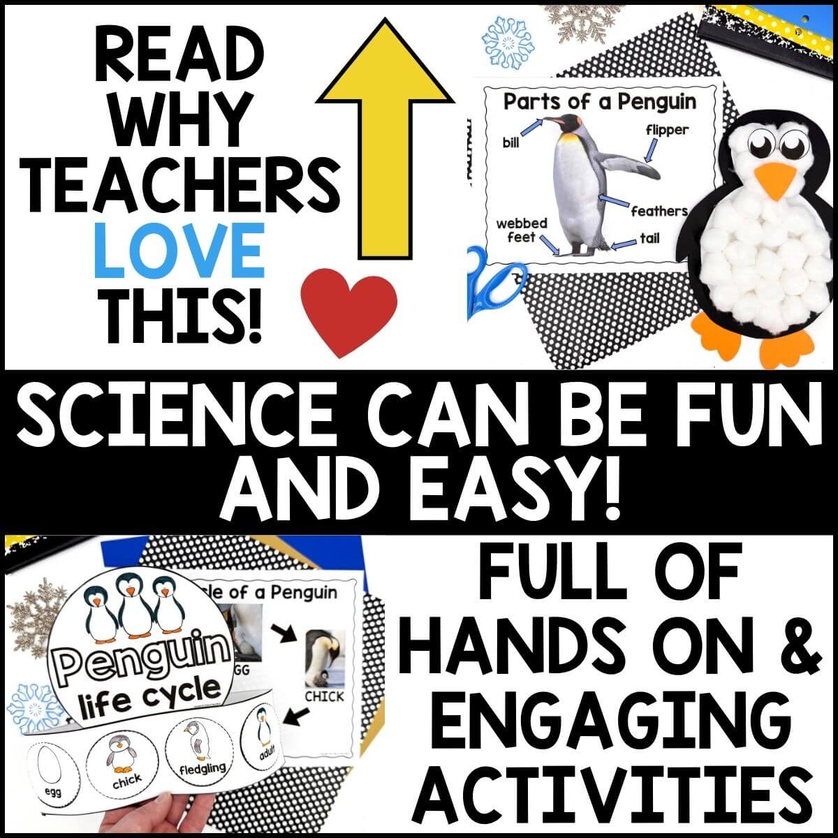 Penguin Animal Study for Pre-K - Image 3