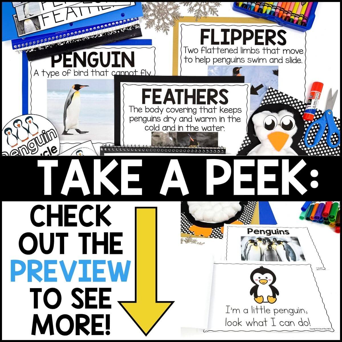 Penguin Animal Study for Pre-K - Image 4
