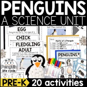 Penguin Animal Study for Pre-K