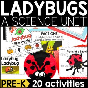 Ladybug Animal Study for Pre-K