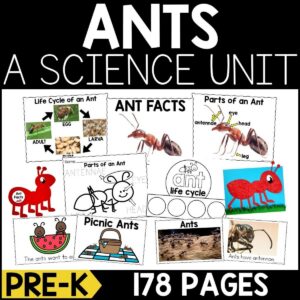 Ants Animal Study for PreK