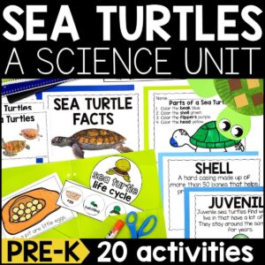 Sea Turtles Animal Study for PreK