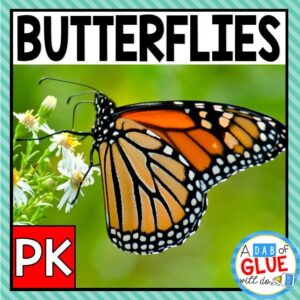 Butterfly Animal Study for PreK