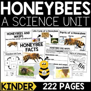 Honeybees Animal Study for Kindergarten