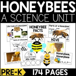Honeybees Animal Study for PreK