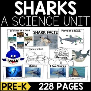 Sharks Animal Study for PreK
