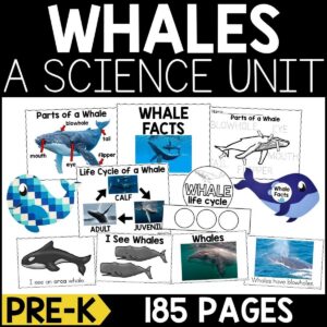 Whales Animal Study for PreK