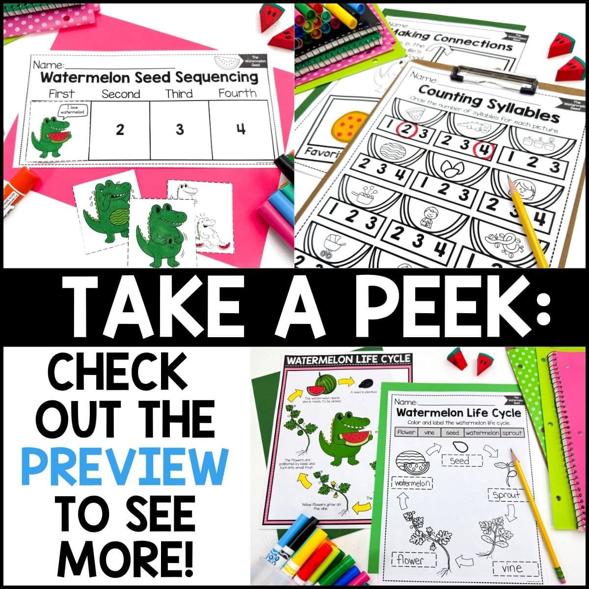 The Watermelon Seed Book Activities - Image 4