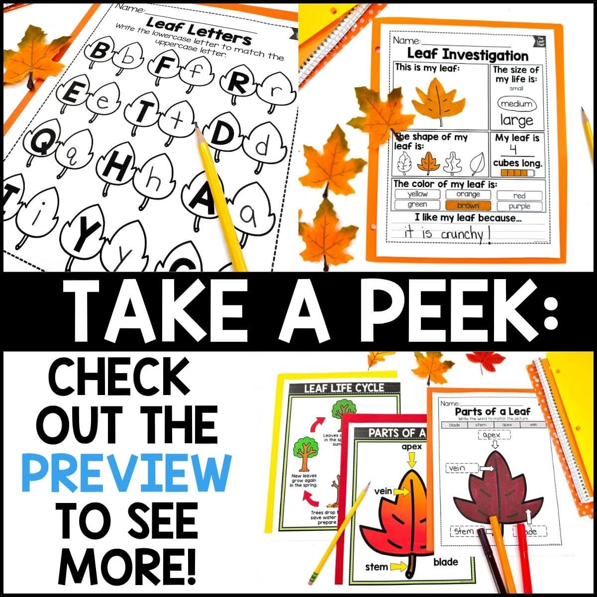The Leaf Thief Book Activities - Image 4